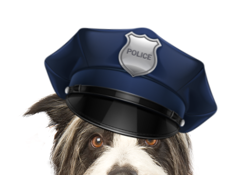 Hundepolizist