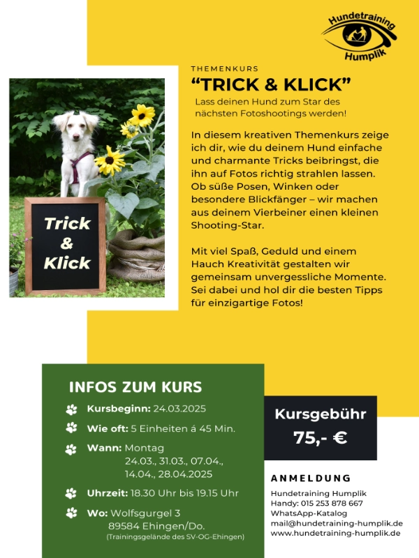 Trick & Klick